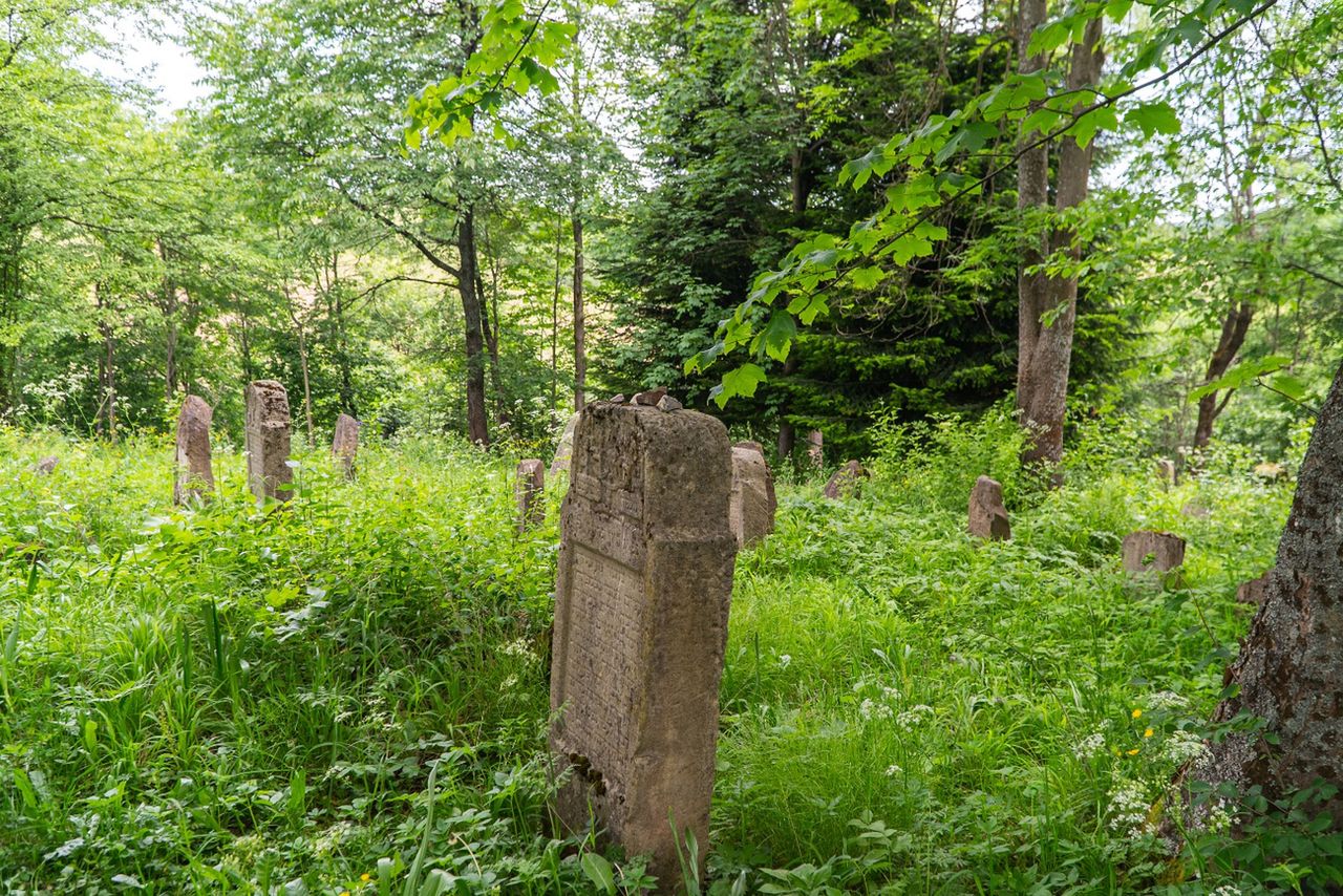 Plac zabaw na grobach w Białymstoku. Zapowiadają zgłoszenie