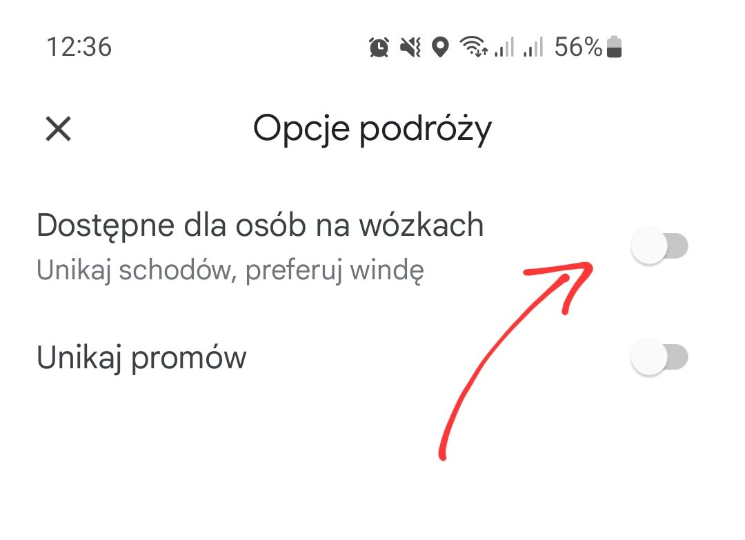 Ustawienia trasy w Google Maps