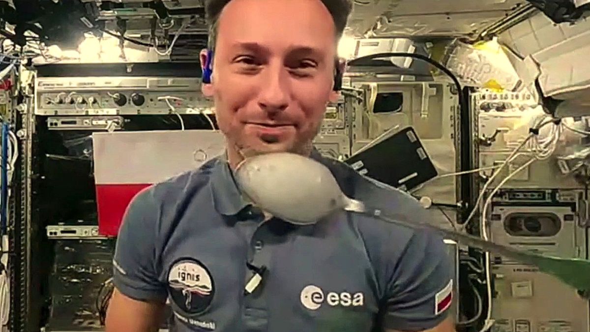 Łączenie na żywo z ISS ze Sławoszem Uznańskim-Wiśniewskim