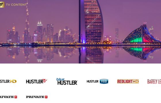 Firma Michała Winnickiego bez udziałów w TV Content