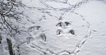 Teksas. Tragiczne skutki mrozów. 11-latek w USA zmarł we własnym łóżku