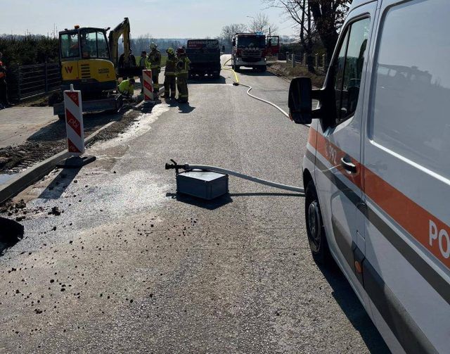 Policja Ryki