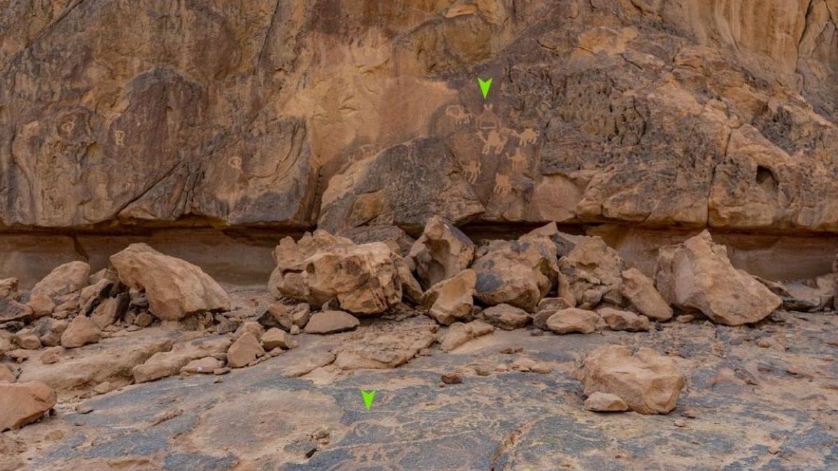 Liczą 10 tys. lat. Niezwykłe odkrycie