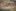 428090612740550572