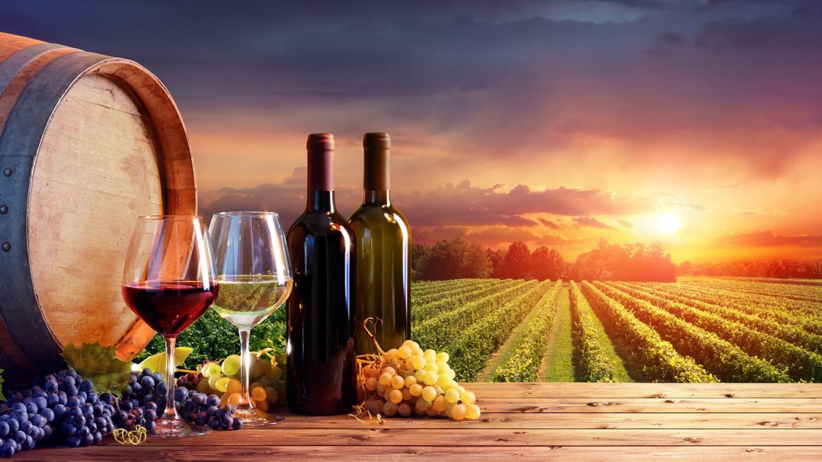 Dobre wina – w tym określeniu kryje się nie tylko smak, ale także sposób wytwarzania i przechowywania win