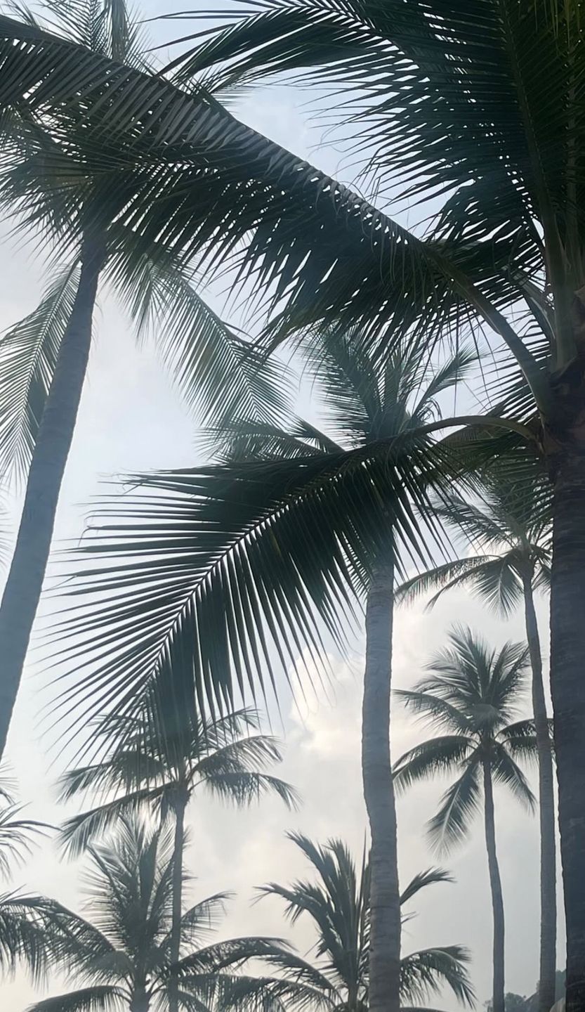 Allan Krupa świętuje urodziny