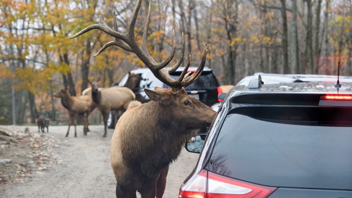Quebec to kolejny region za oceanem, który stawia na ekologię.