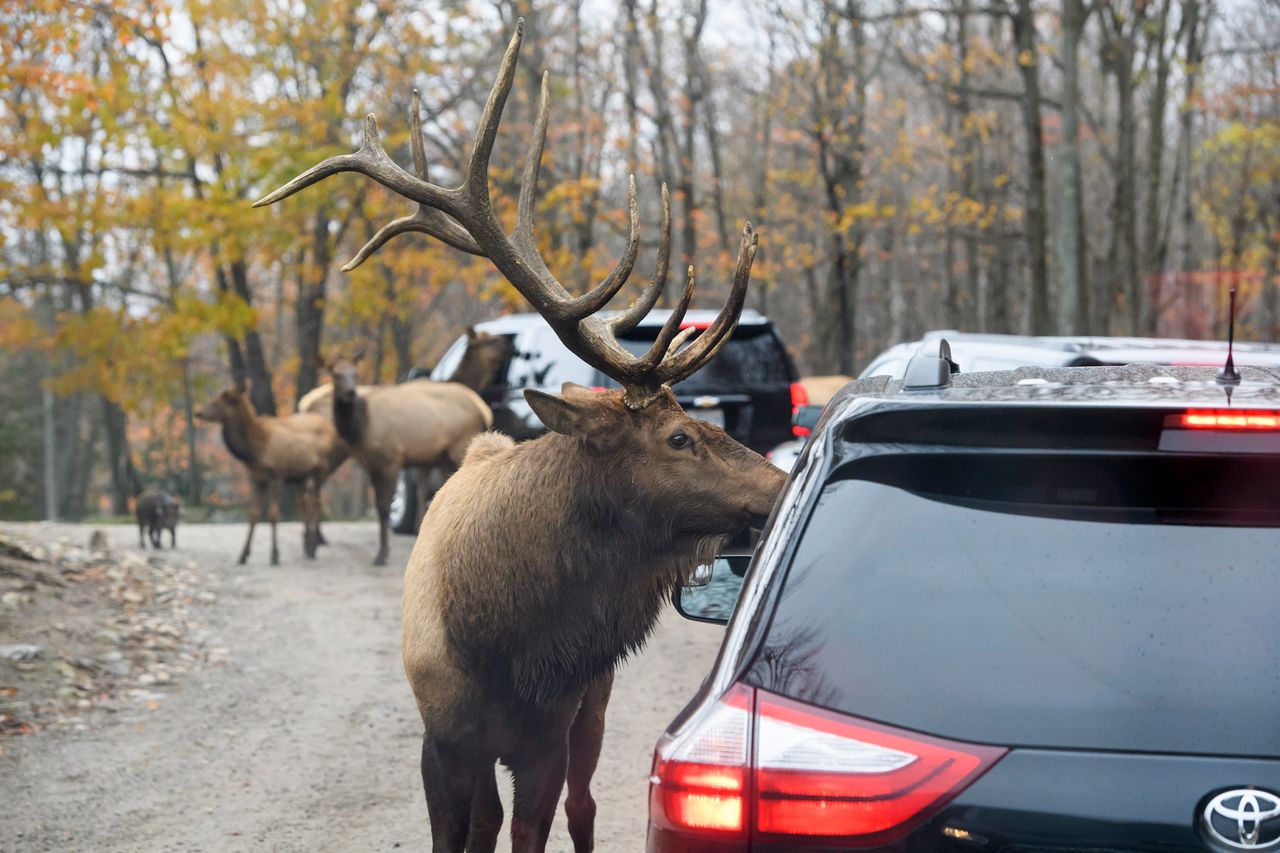 Quebec to kolejny region za oceanem, który stawia na ekologię.