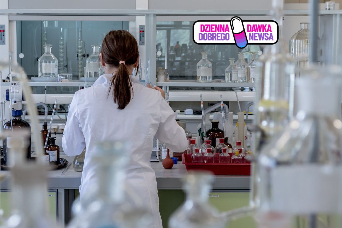 Nowoczesne opatrunki na rany. Polscy naukowcy rozwijają przełomowy projekt