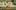 Total War Battles