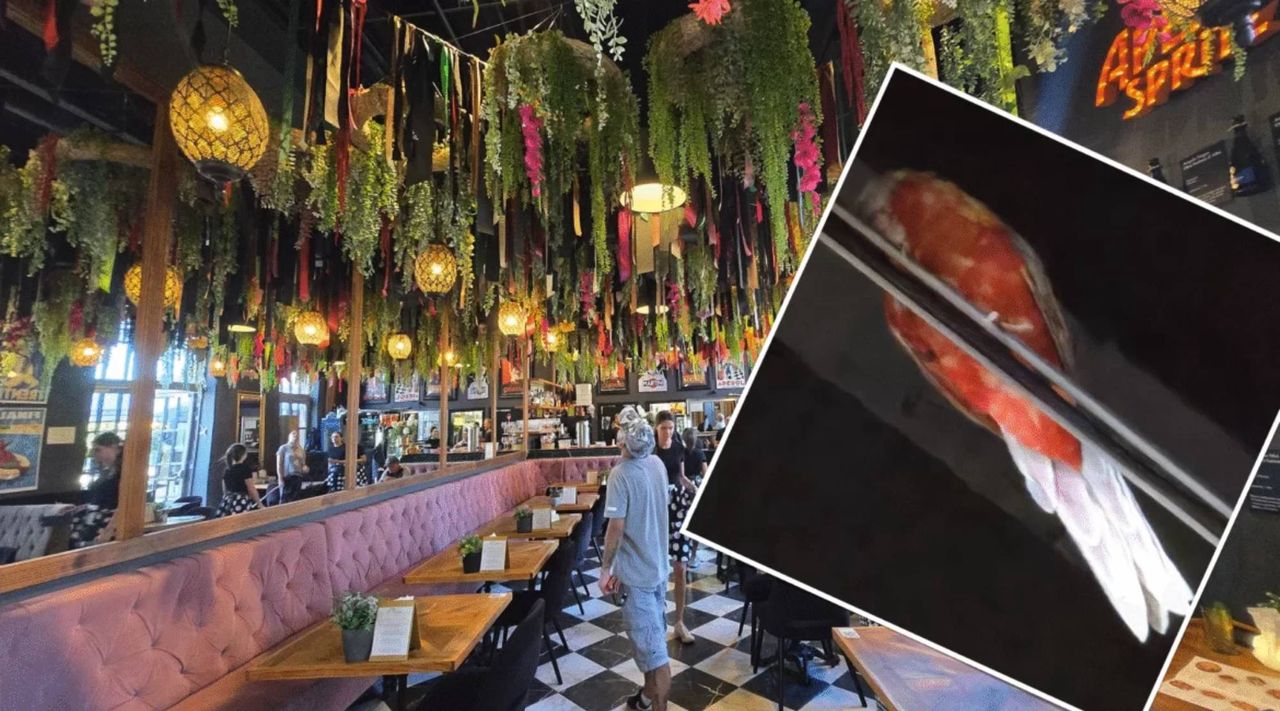 Poznań: Znaleziono czerwoną papugę w galerii handlowej. Restauracja czeka na właściciela