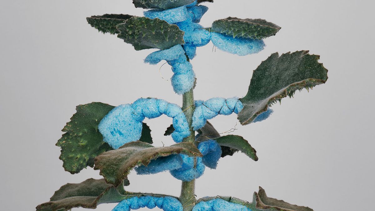 Oto najlepsza Fotograficzna Publikacja Roku 1