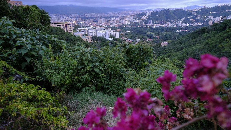 Wenezuela, niezwykle piękna kraina, bywa miejscem niebezpiecznym. Przed zagrożeniem ostrzega polskie MSZ