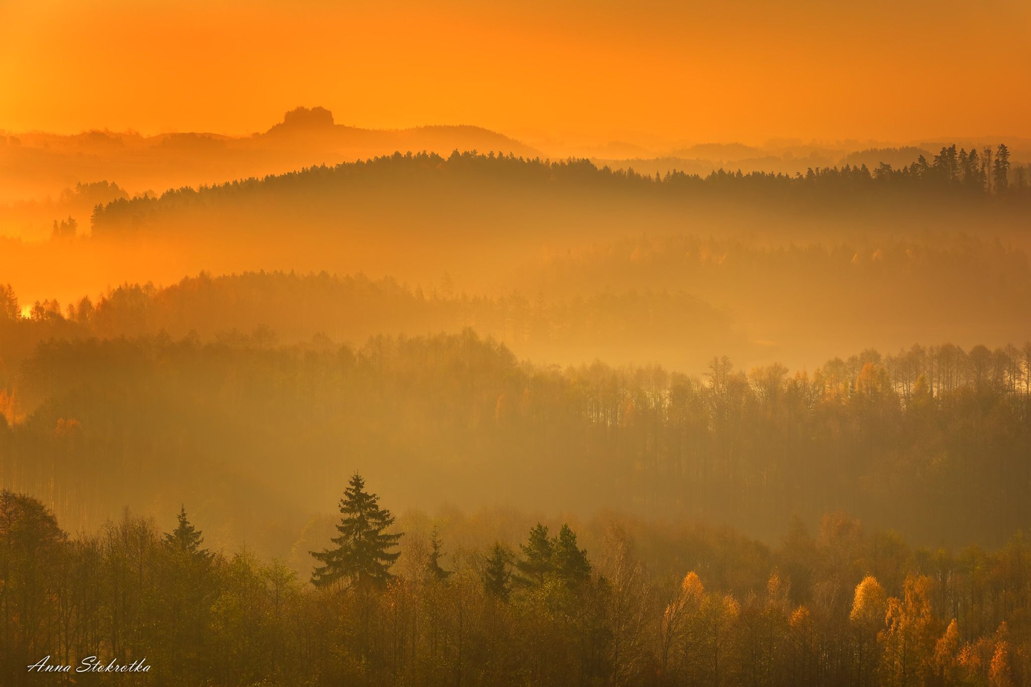 Piękno polskiej jesieni na zdjęciach naszych czytelników. W tym roku jest wyjątkowa! 7