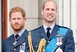 Harry uderzył w Williama. Ich wspólne oświadczenie było oszustwem