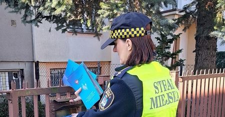 Kontrole strażników miejskich. Posypały się mandaty