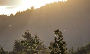 Pył znad Sahary dotarł nad Tatry. Na śniegu możliwe żółte osady