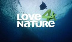 Kanał Love Nature 4K będzie nadawał po polsku