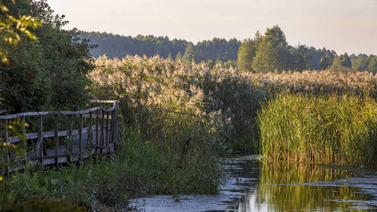 Chcą dopłacać do noclegów na Podlasiu 