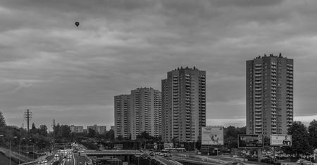 Katowice mają poważny problem. Plaga nie do wytępienia?