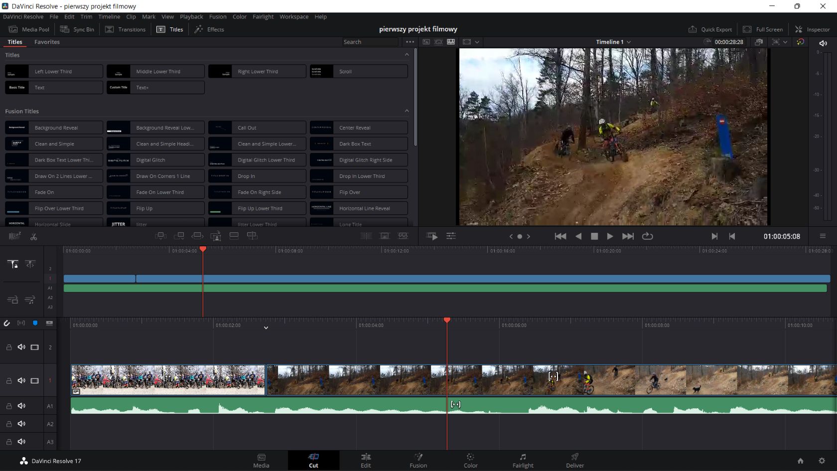 DaVinci Resolve: przykładowe formaty napisów
