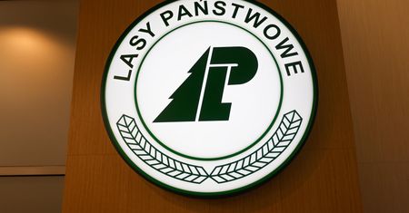 Pielgrzymki i audiencja. Raport NIK o Lasach Państwowych