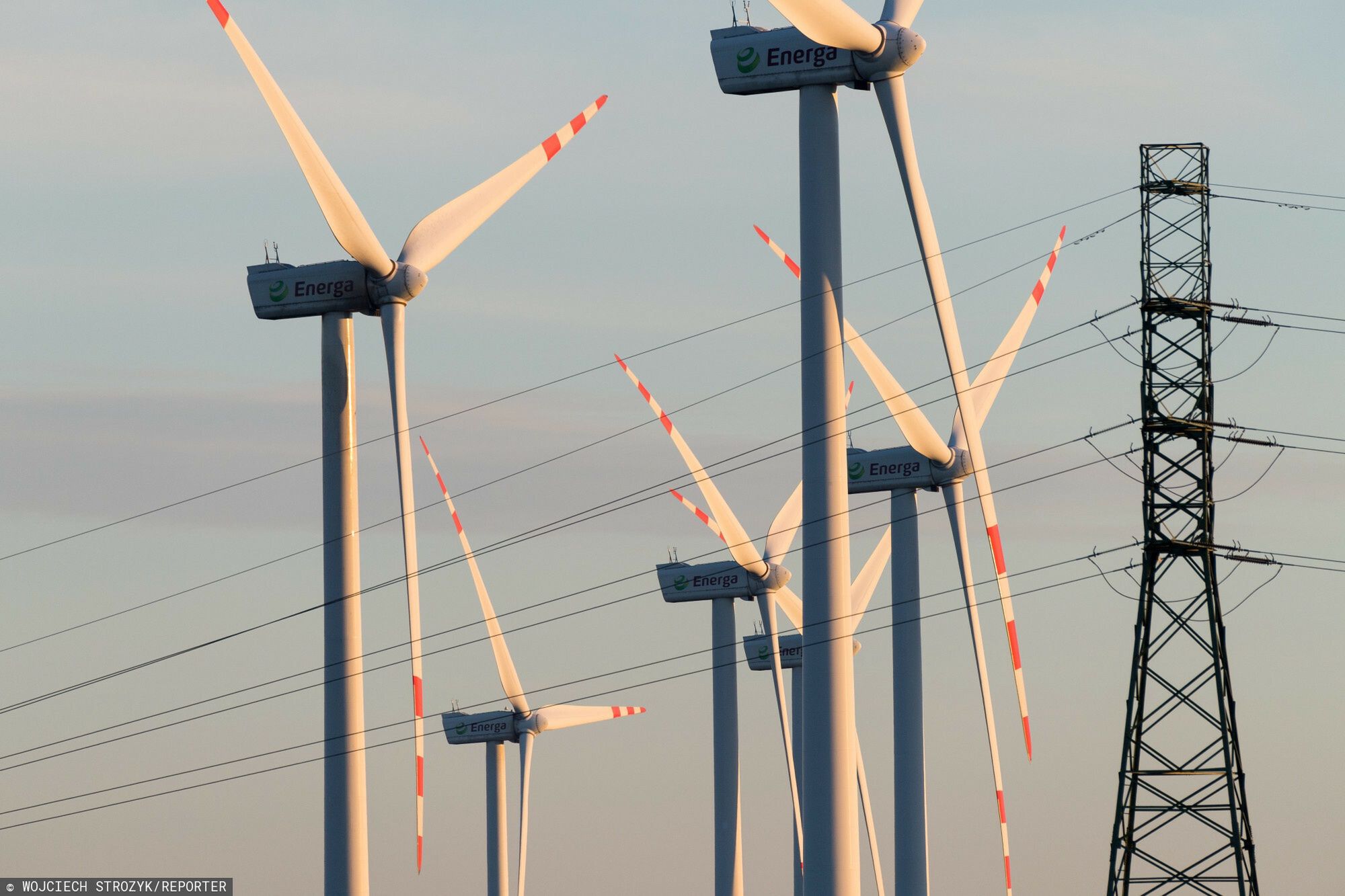 Żuławy. Farma wiatrowa Energa 