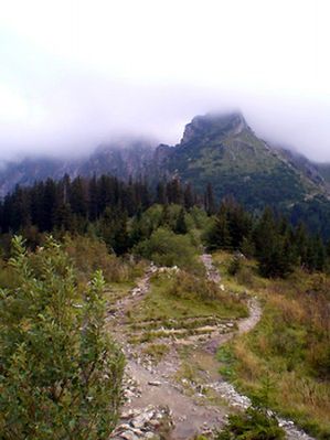 Obraz