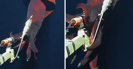 Zeszli 1 km pod powierzchnię oceanu. Nagle zobaczyli "reflektory"