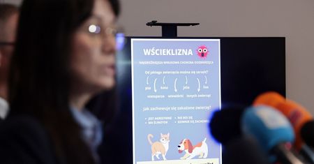 Nowe ogniska wścieklizny w woj. lubelskim. Komunikat Głównego Lekarza Weterynarii