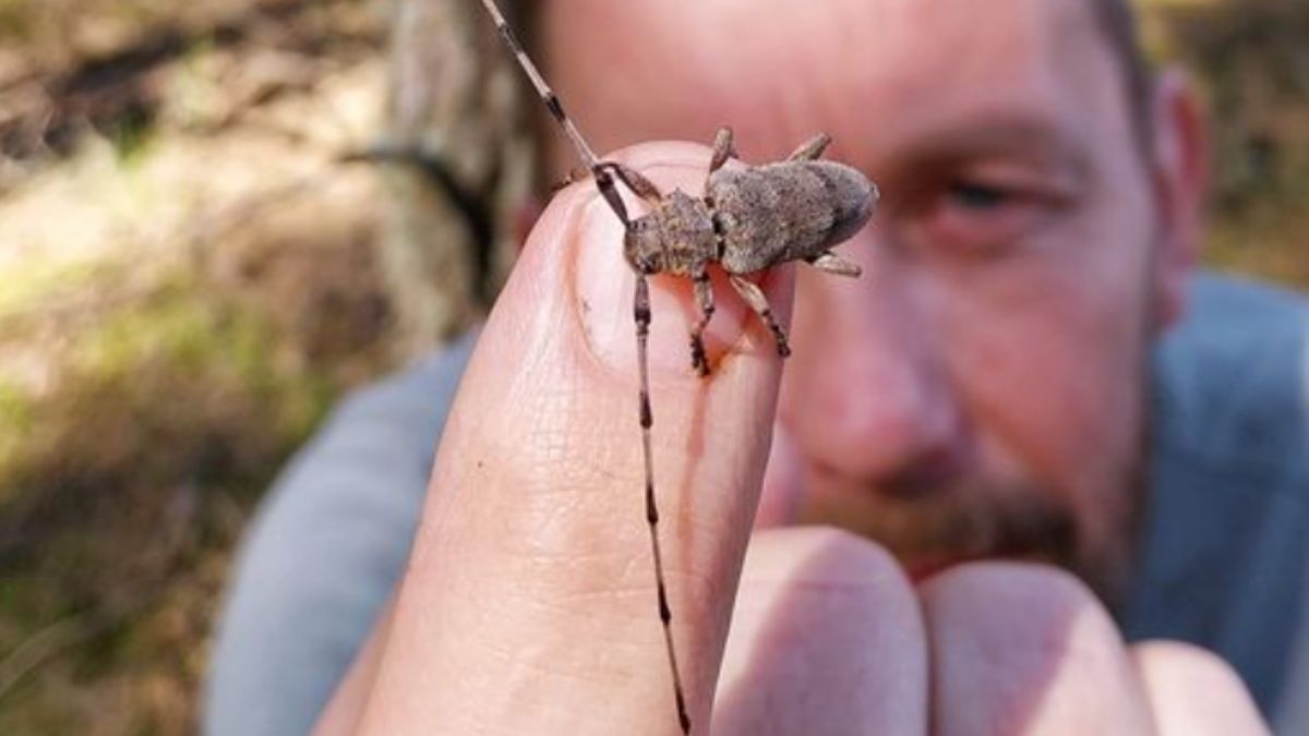 Tycz Cieśla to rekordzista