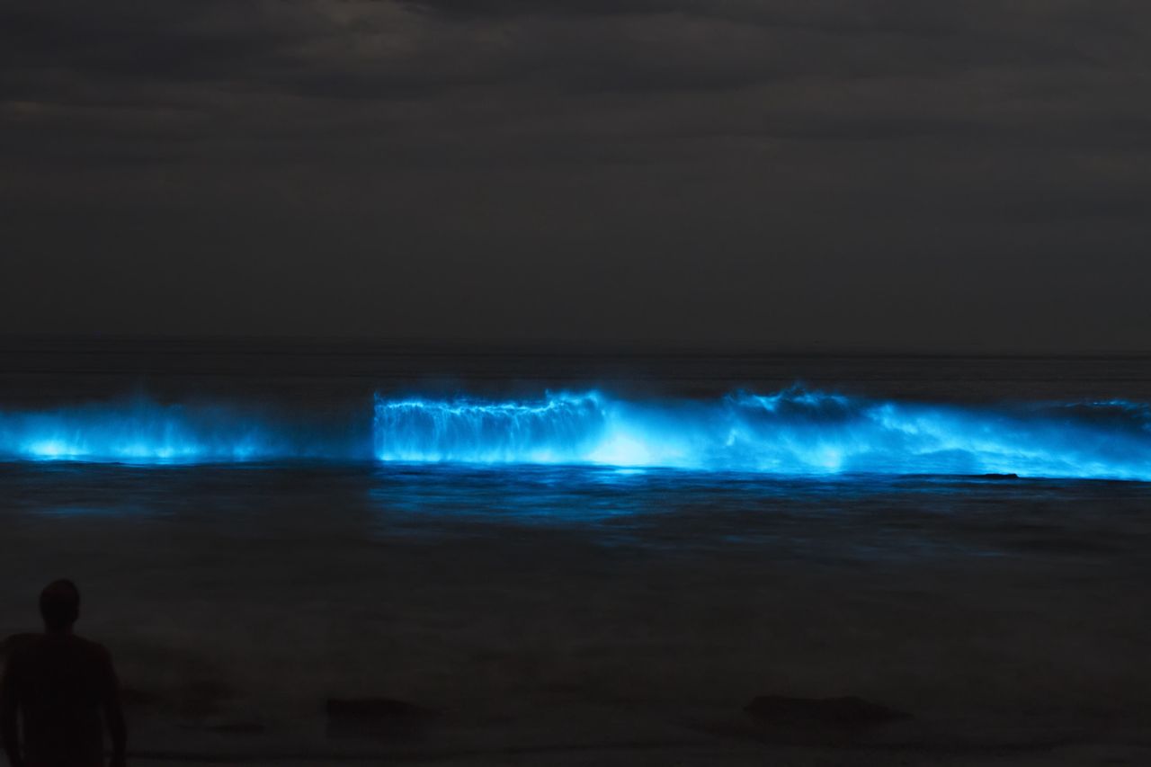 Ocean świecił na niebiesko. Zjawisko nazywane jest "zorzą morską"