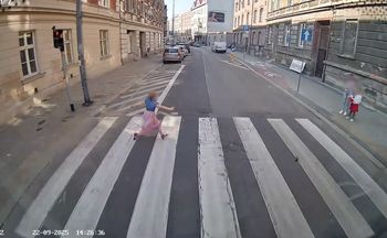 Pięciolatka wbiegła pod autobus. Uratował ją refleks kierowcy