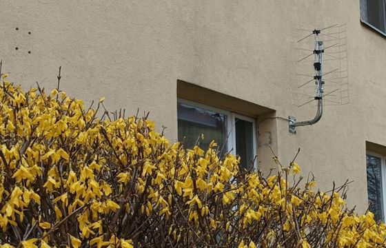 Emitel: MUX-8 pozostaje atrakcyjną formą dostępu do milionów widzów