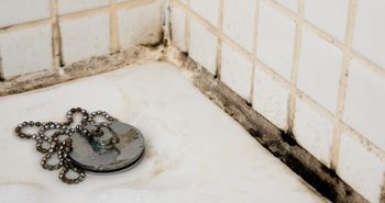 Grzyb w łazience – jak zidentyfikować i usunąć źródło problemu?