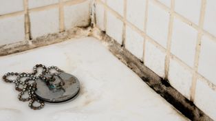 Grzyb w łazience – jak zidentyfikować i usunąć źródło problemu?