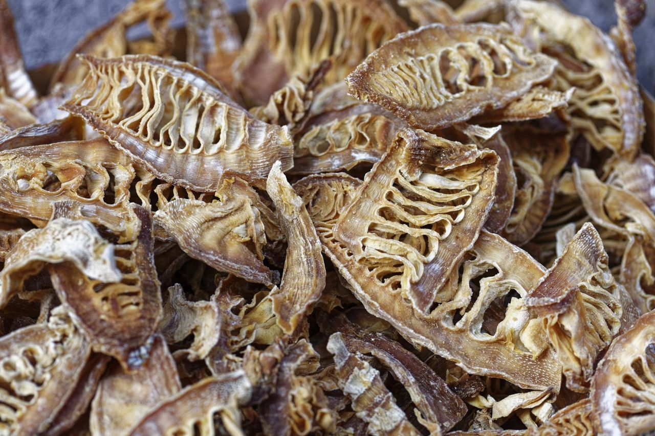 Naukowcy odkryli wyjątkowe właściwości bambusa. Obniża poziom cukru i wspiera serce