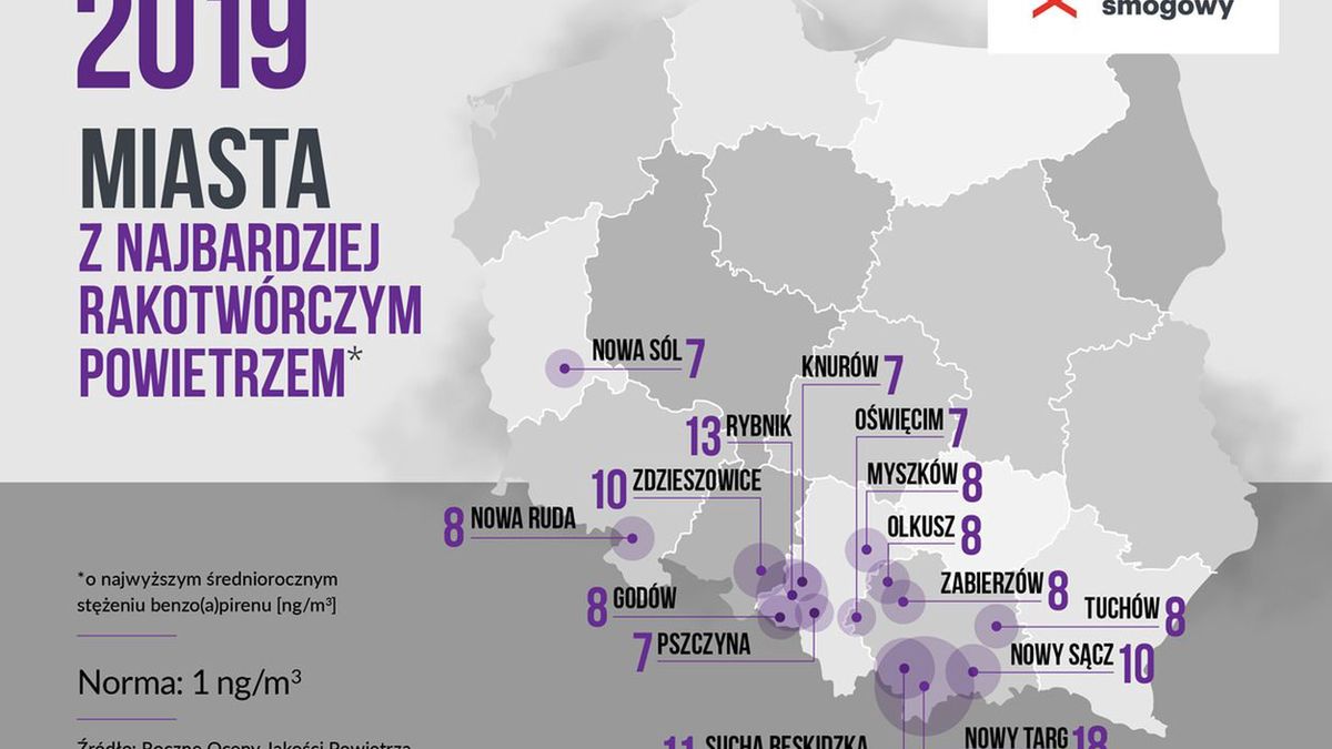 Rakotwórcze powietrze w polskich miastach