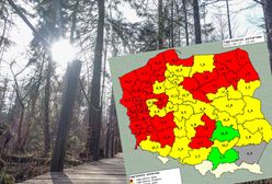 Zagrożenie pożarowe w lasach. W niektórych miejscach jest już ekstremalne sucho