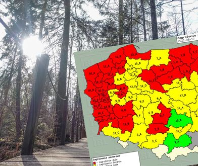 Zagrożenie pożarowe w lasach. W niektórych miejscach jest już ekstremalne sucho