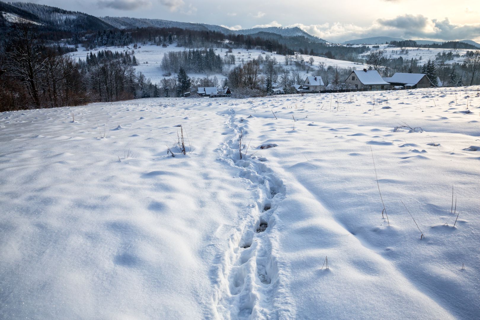 Trudne warunki na szlakach w Beskidach. Goprowcy ostrzegają