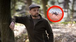 Leśnik radzi, by nie wyganiać ich z ogrodu. Są niezwykle pożyteczne