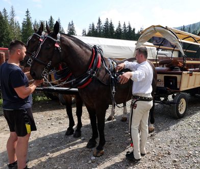 Tatry. Test hybrydowego wozu konnego