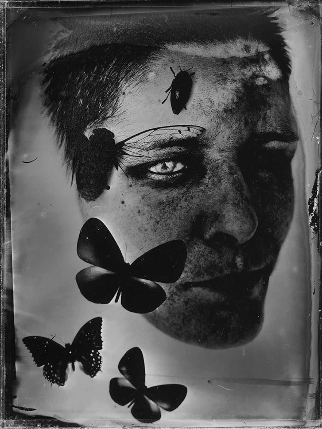 16 Polaków na podium oraz ponad 30 wyróżnionych w International Photographer of the Year 2017 15