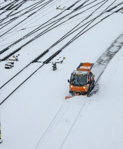 Czechy w chaosie. Droga w kierunku Polski zamknięta
