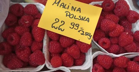 Prawie 100 zł za kilogram malin w sklepie. Ceny oszalały. Powód jest jeden
