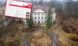 Wystawili pałac na sprzedaż. Cena może zaskoczyć