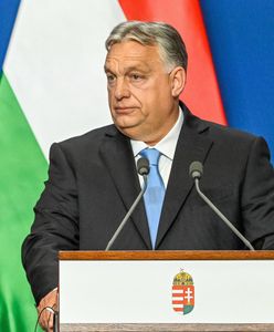 Orban uderza w PiS i KO. Absurdalne słowa: "partie prowojenne"