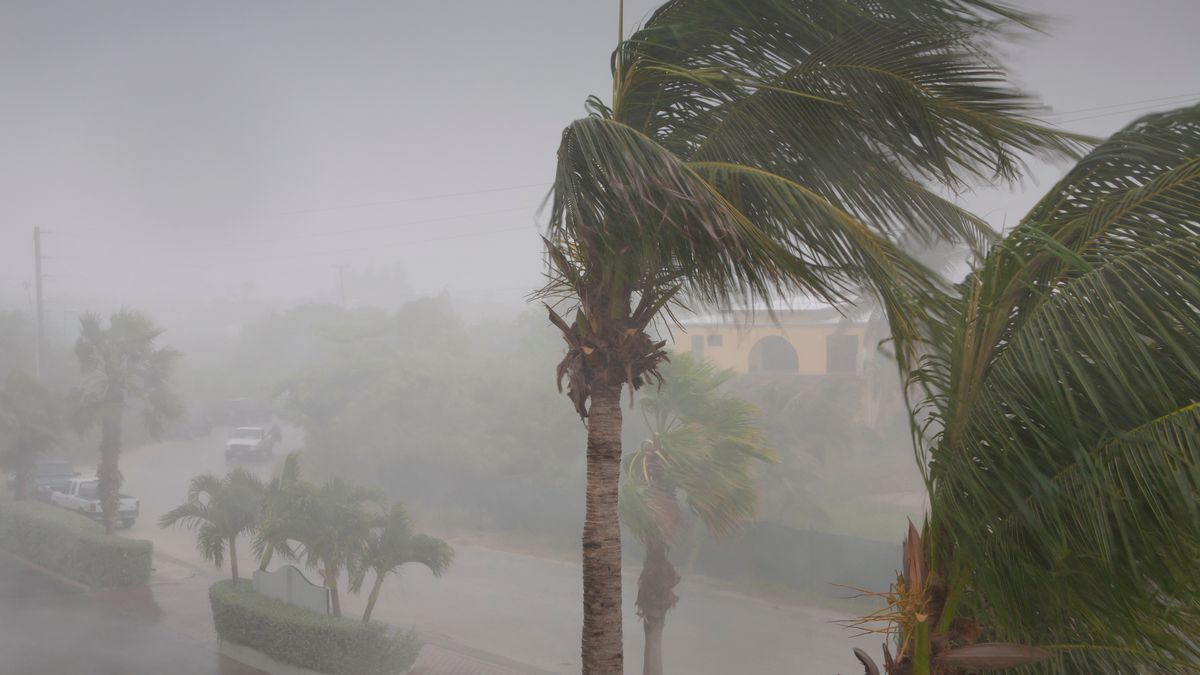 Władze Hongkongu spodziewają się uderzenia tajfunu we wtorek lub