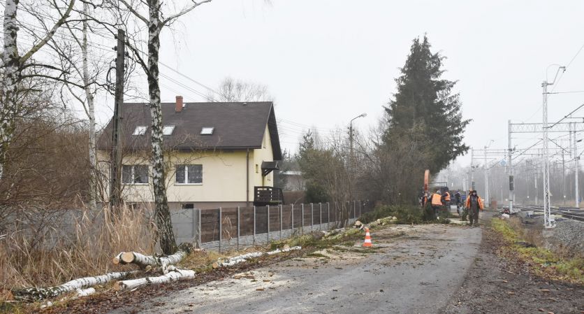 Sławków. Wzdłuż linii kolejowej wycięto 70 drzew.